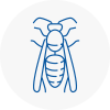 Hambleton Wasp Nest Removal
